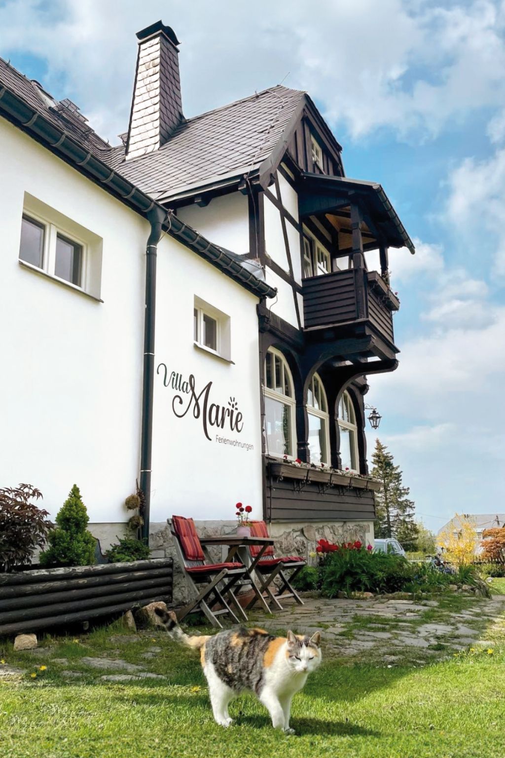 Galeriebild